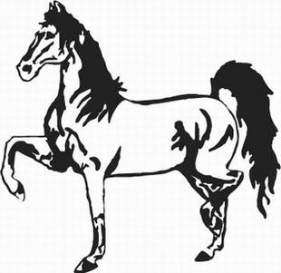 Strutting Horse decal